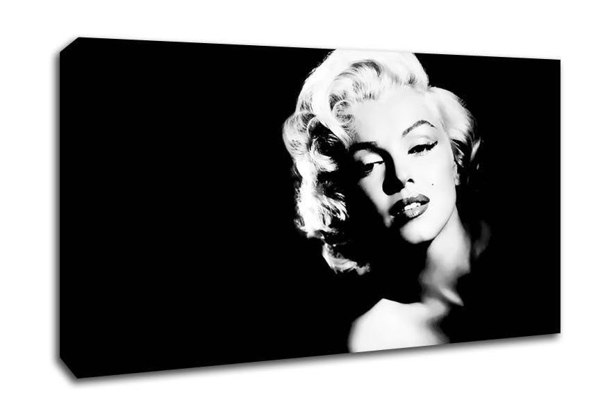 Marilyn Monroe The Look Canvas Wall Art