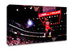 Micheal Jordon Air Canvas Wall Art