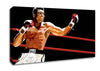 Muhammad Ali In The Ring Canvas Wall Art