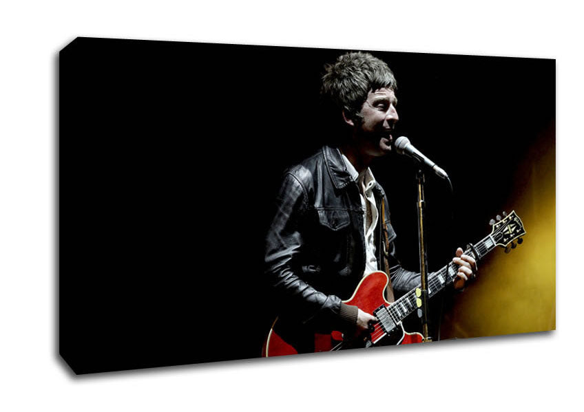 Noel Gallagher On Stage Canvas Wall Art