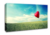Alone Heart Flying Canvas Wall Art