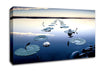 Lilies Canvas Wall Art