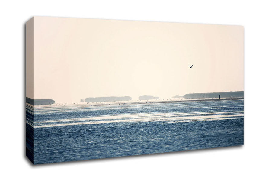 Morning Sea Bird Canvas Wall Art