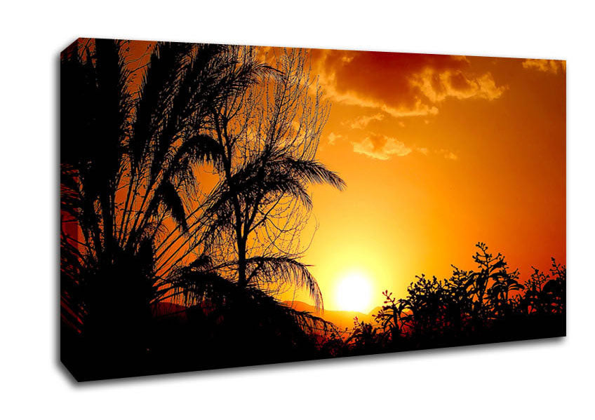 Beautiful Sunset Trees Canvas Wall Art