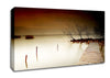 Mystical Boardwalk Brown Canvas Wall Art