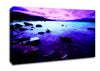 Pink Skies Over The Turquoise Ocean Canvas Wall Art