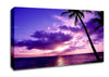 Lilac Pink Ocean Paradise Canvas Wall Art