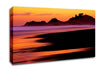 Peach Delight Canvas Wall Art
