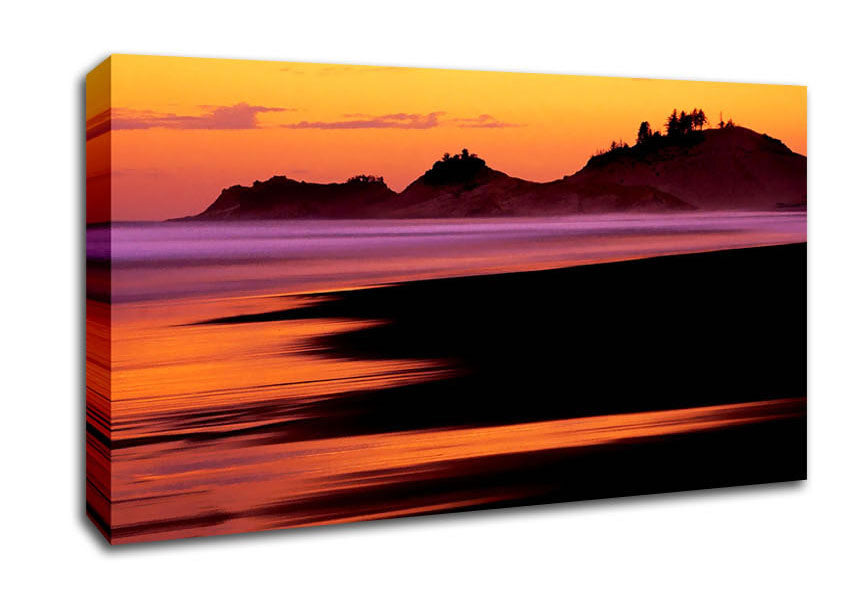 Peach Delight Canvas Wall Art