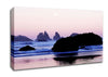 Pink Ocean Moon Canvas Wall Art