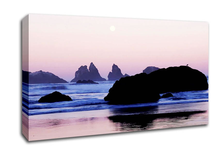 Pink Ocean Moon Canvas Wall Art