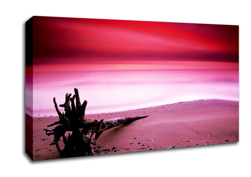 Pink Ocean Calm Canvas Wall Art