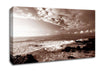 Ocean Mist Sepia Canvas Wall Art