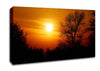 Orange Sunset Over Trees Canvas Wall Art