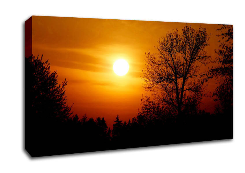 Orange Sunset Over Trees Canvas Wall Art