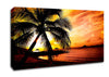 Palm Tree Paradise Canvas Wall Art
