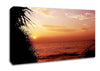 Paradise Calm Canvas Wall Art