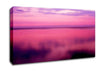 Pink Calm Canvas Wall Art