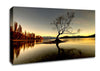 Lonely Lake Tree Canvas Wall Art