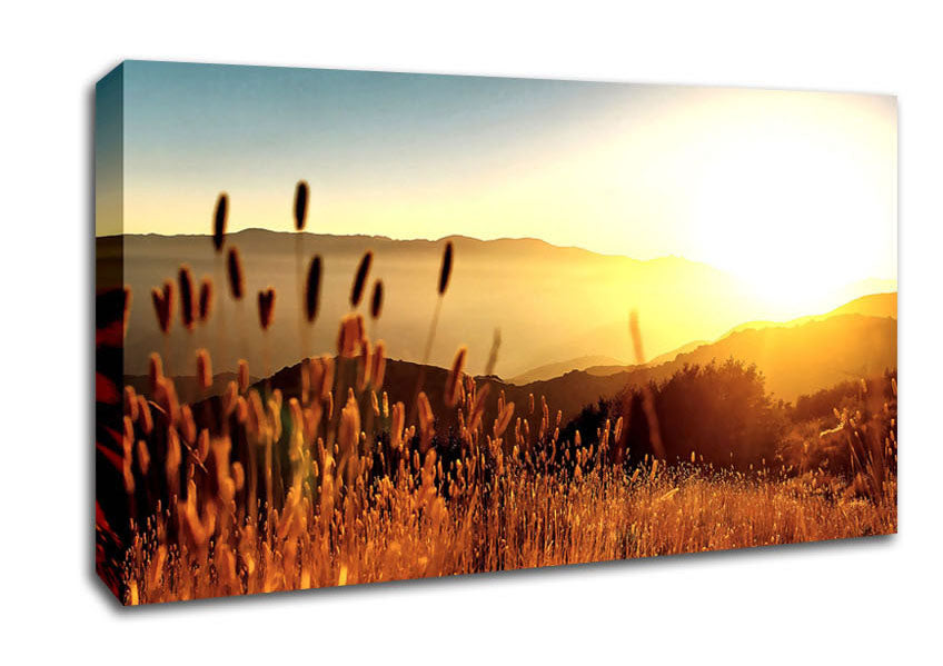 Late Summer Field Canvas Wall Art