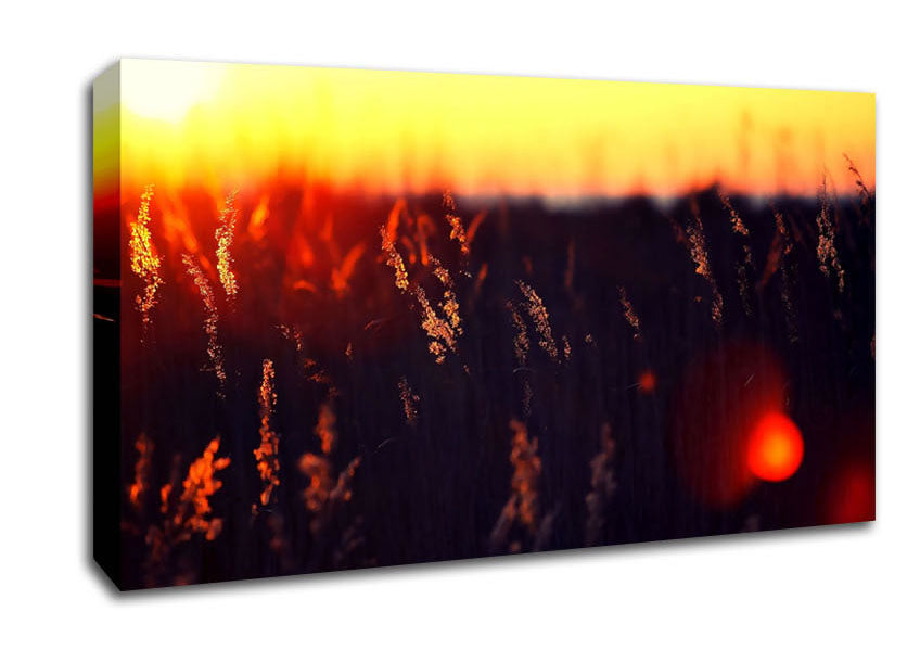 Hot Sunset Canvas Wall Art