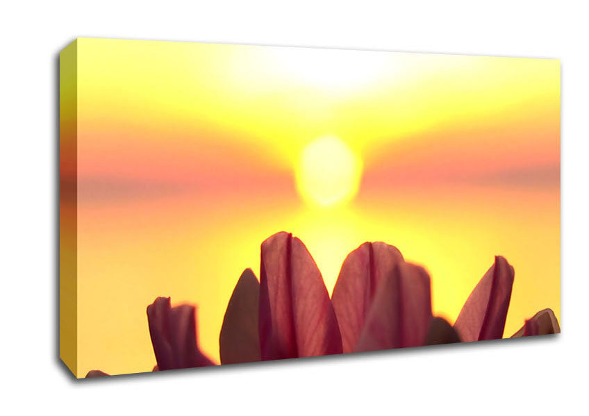 Life Source Canvas Wall Art