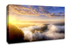 Morning Mist Over The Forest Canvas Wall Art