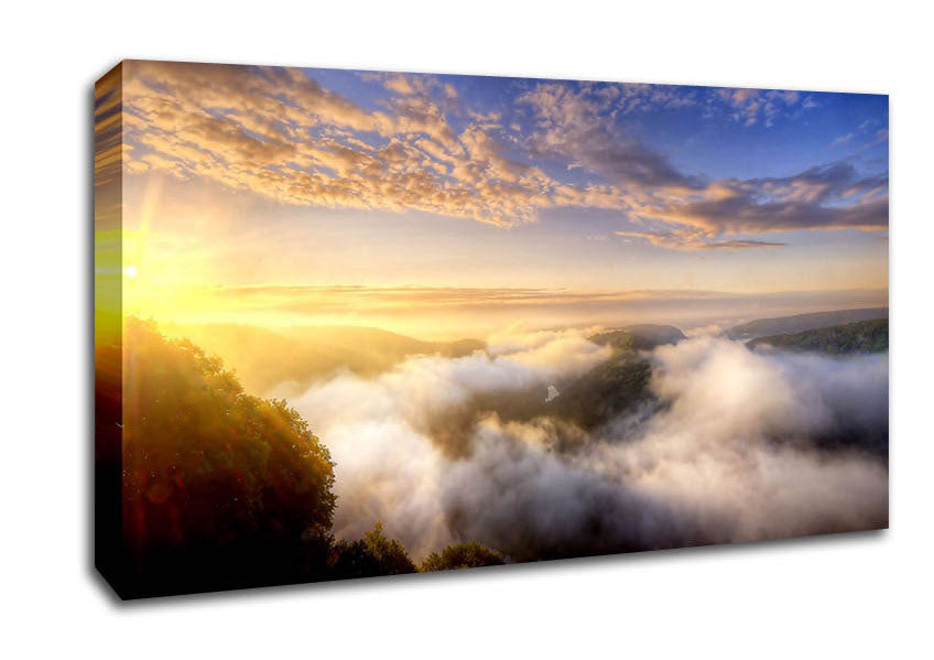 Morning Mist Over The Forest Canvas Wall Art