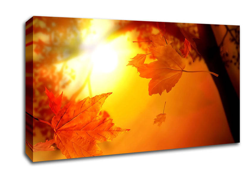 Orange Autumn Canvas Wall Art