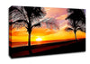 Painting Paradise Canvas Wall Art