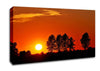 Orange Tree Horizon Canvas Wall Art