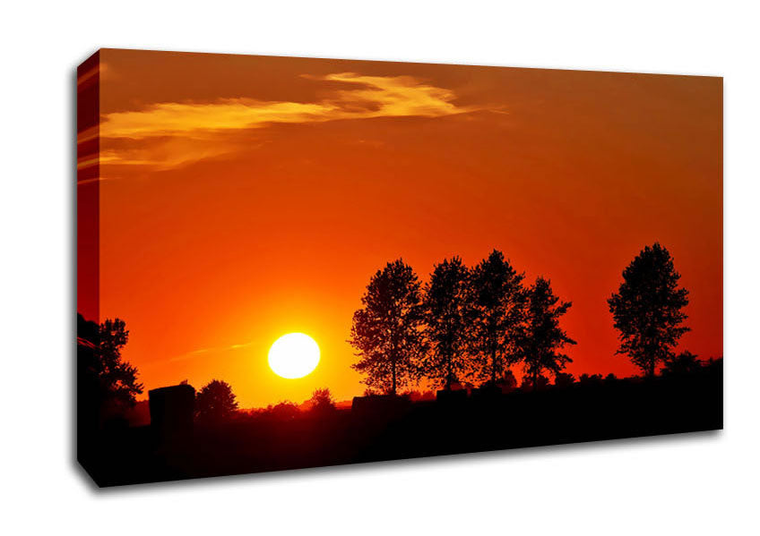 Orange Tree Horizon Canvas Wall Art