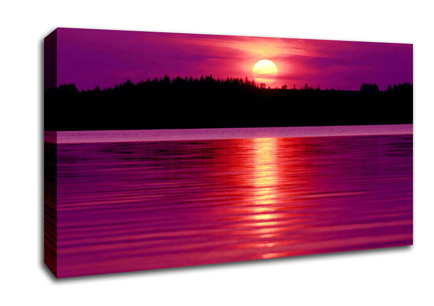 Pink Lake Reflections Canvas Wall Art