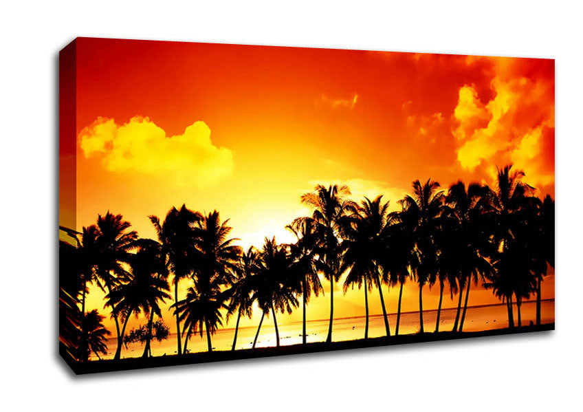 Orange Palm Tree Sunset Canvas Wall Art