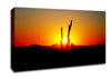 Red Cactus Sunrise Canvas Wall Art