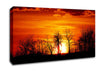 Orange Sunset Treeline Canvas Wall Art