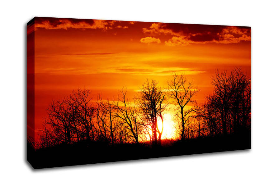 Orange Sunset Treeline Canvas Wall Art