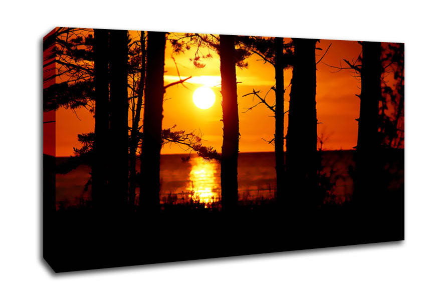 Orange Sunset Through The Trees Canvas Wall Art