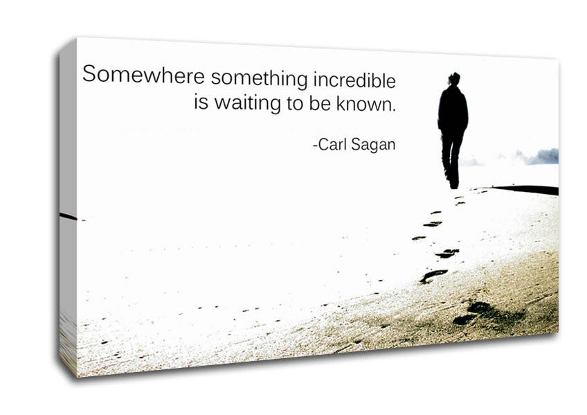 Motivational Quote Carl Sagan Somewhere Something Canvas Wall Art
