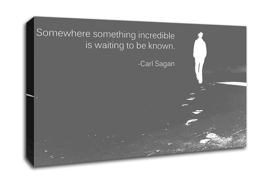 Carl Sagan Somewhere Something Grey Canvas Wall Art