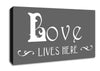 Love Quote Love Lives Here Vines Grey Canvas Wall Art
