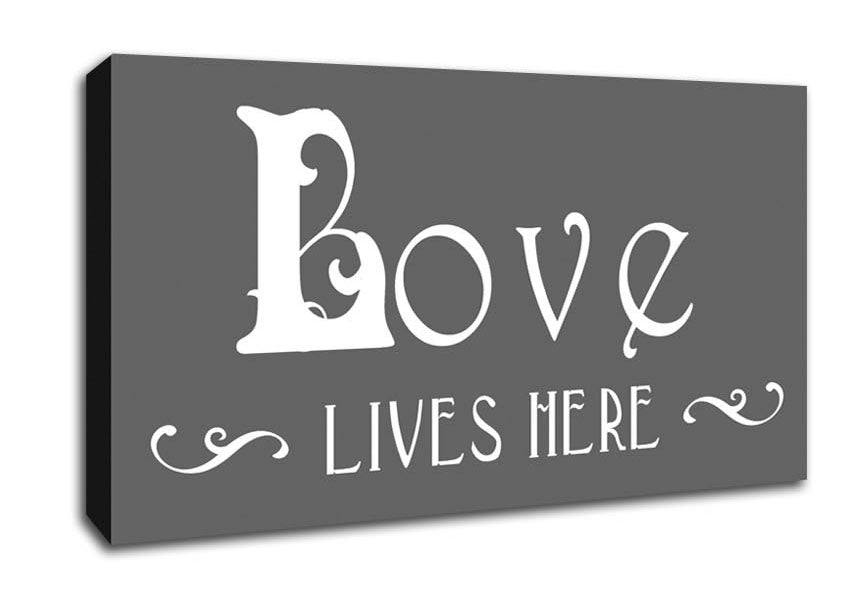 Love Quote Love Lives Here Vines Grey Canvas Wall Art