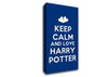 Keep Calm Potter Canvas Wall Art