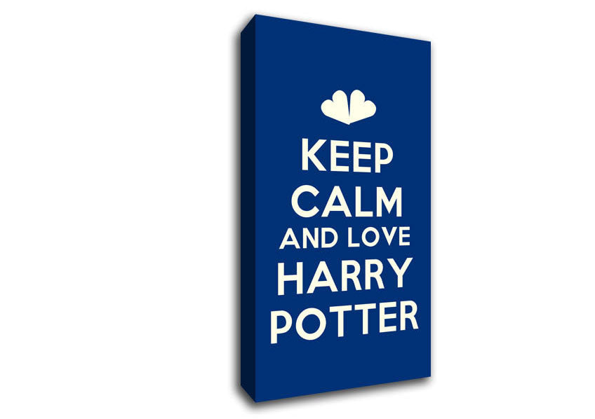 Keep Calm Potter Canvas Wall Art