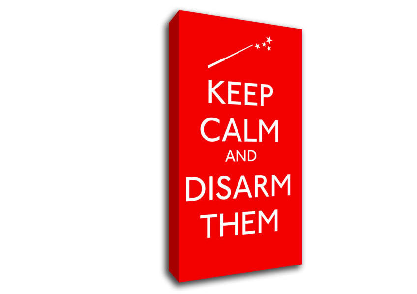 Keep Calm Disarm Them Canvas Wall Art