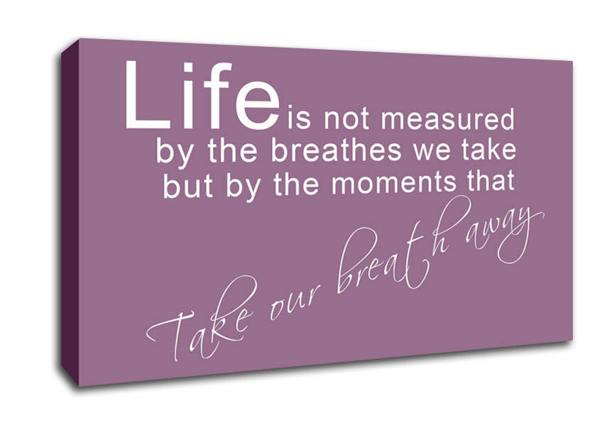 Life Is Not Measured Dusty Pink Canvas Wall Art