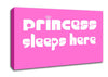 Princess sleeps 2 Vivid Pink Canvas Wall Art