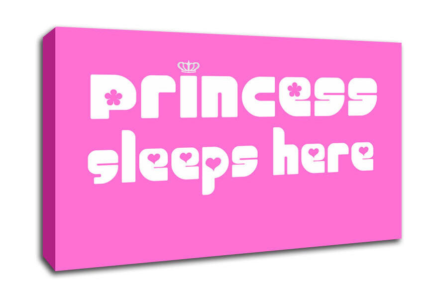 Princess sleeps 2 Vivid Pink Canvas Wall Art