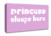 Nursery Quote Princess sleeps 2 Pink Canvas Wall Art