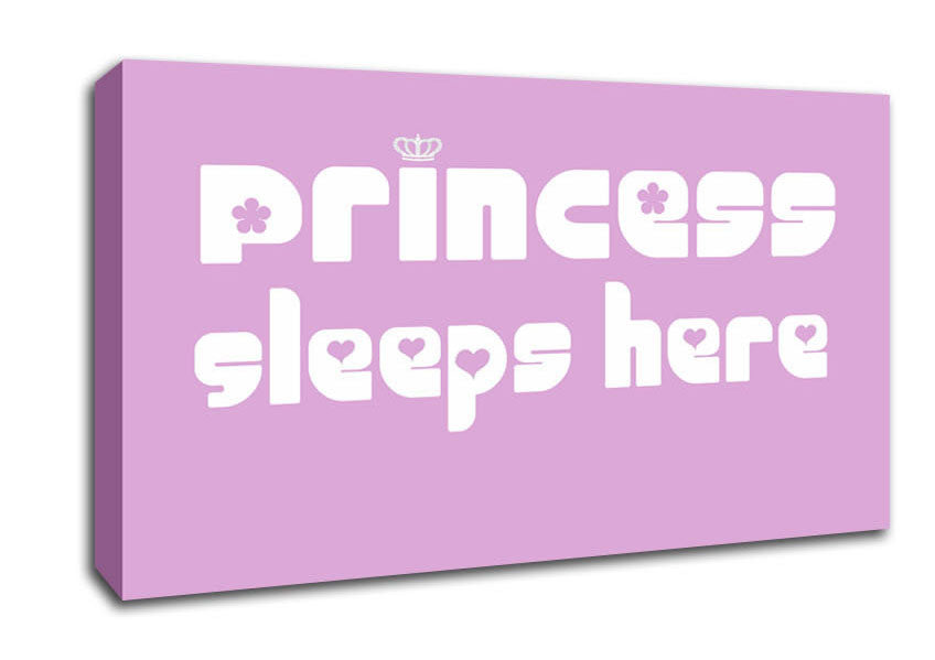Nursery Quote Princess sleeps 2 Pink Canvas Wall Art